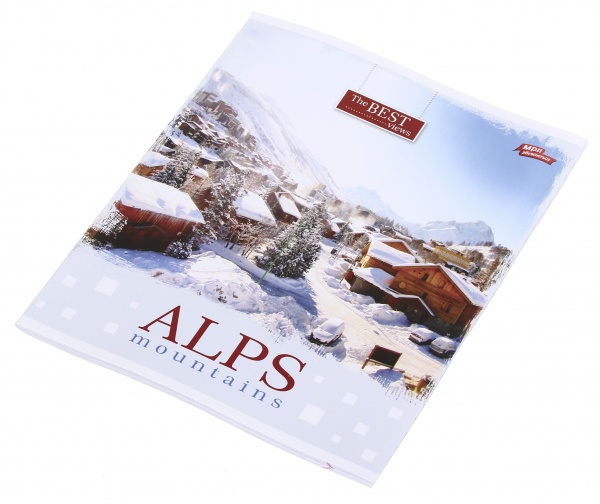 Тетрадь школьная 18 листов в клеточку в ассортименте Мечты сбываются