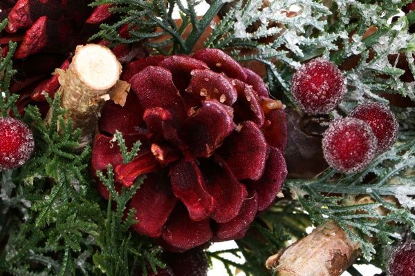 Вінок новорічний туя із шишками і паличками d350 мм C37513 