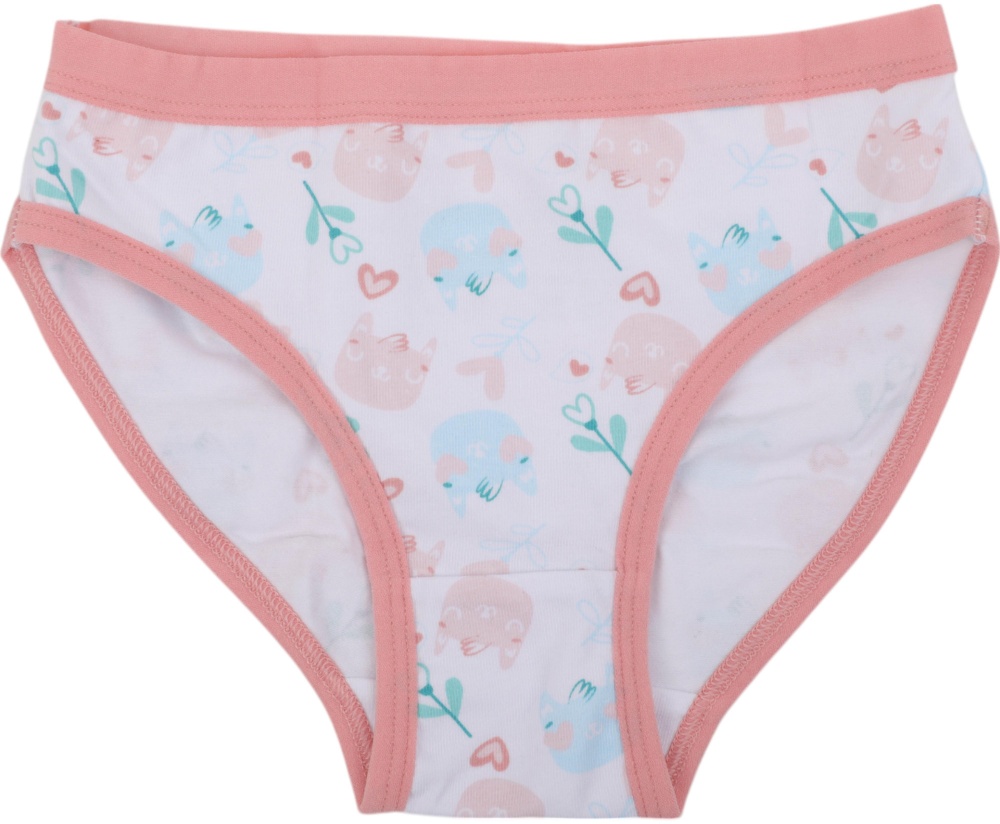 Набор трусов для девочек HW 3 пары р.122-128 белый с голубым G3