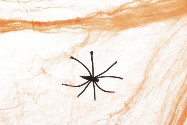 Підвісний декор Fun Павутина помаранчева з двома павуками 20 г YES