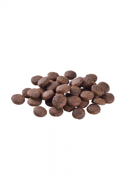 Корм сухий беззерновий для великих порід Brit Care Grain-free Junior з лососем 12 кг