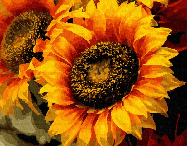 Картина за номерами Шпигун сонця 13106-AC 40х50 см ArtCraft 