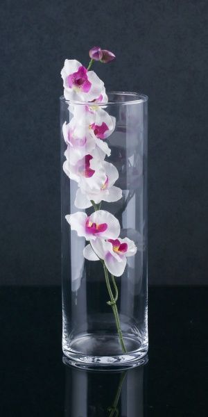 Ваза стеклянная прозрачная цилиндр 10х30 см Wrzesniak Glassworks