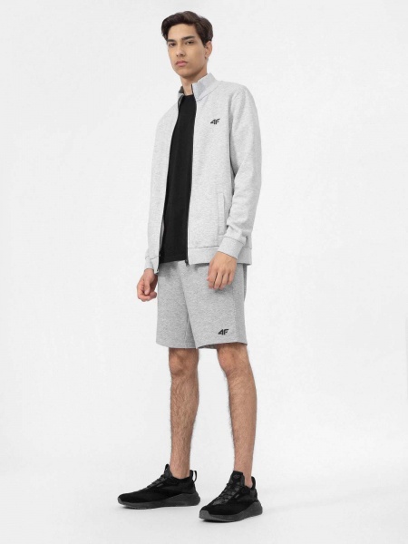 Шорти 4F 4FMM00TSHOM025-27M р. 3XL сірий