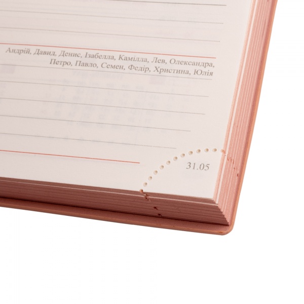 Щоденник датований рожевий 368 стор. Leo Planner Velvet A5 2024