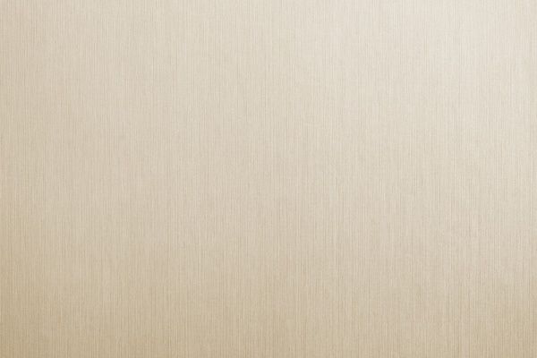 Шпалери вінілові на флізеліновій основі Bravo 81181BR23 1,06x10,05 м 