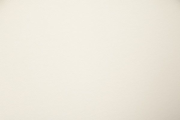 Стул Скиф МП Дана-S венге/бежевый