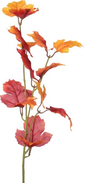 Рослина штучна Клен