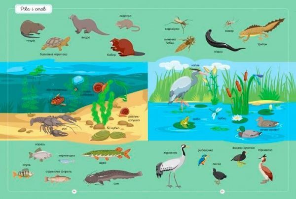 Книга Юлия Каспарова «Найкращий словник тварин» 978-617-09-5525-8