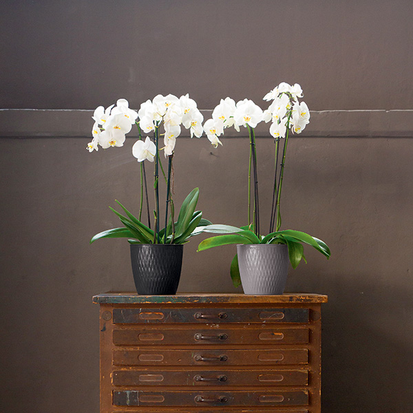 Вазон пластиковый Stefanplast Liberty круглый 2,3 л серый (87184) 