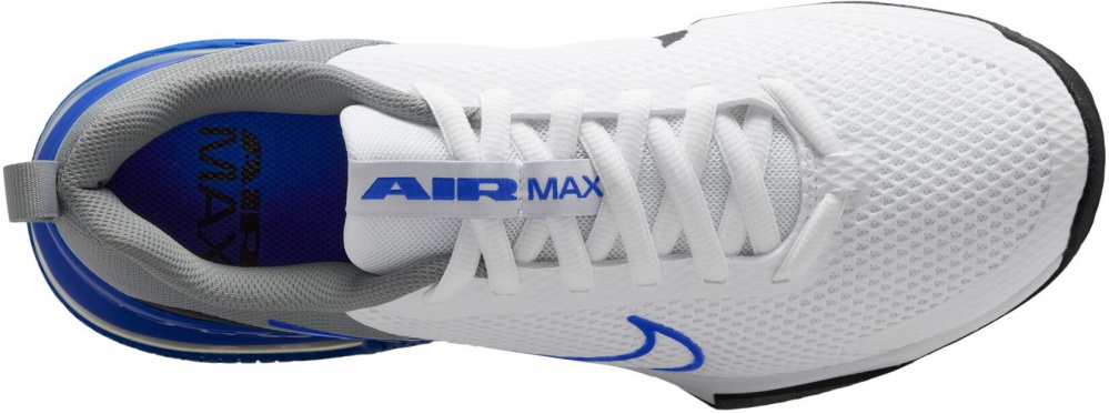 Кросівки чоловічі Nike AIR MAX ALPHA TRAINER 6 FQ1833-102 р.45,5 білі