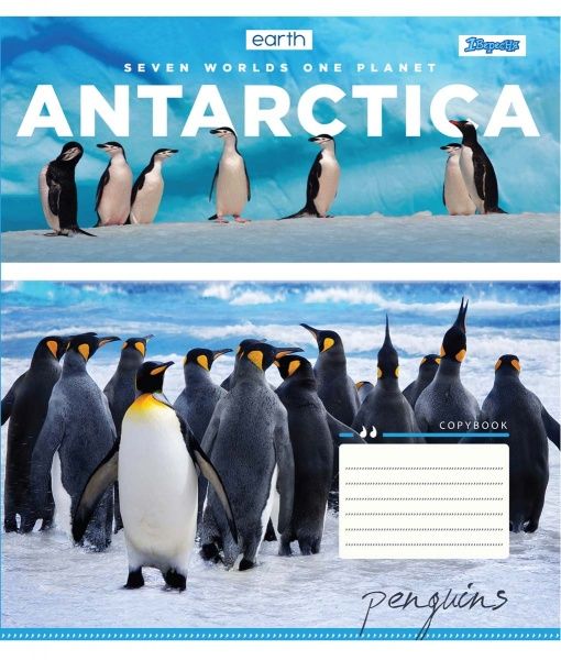 Зошит шкільний Earth animal А5/24 у клітинку 1 вересня