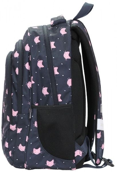 Ранец школьный Safari 2 отделения 21-181L