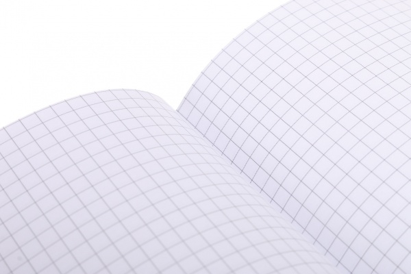 Книга учета Престиж А4 96 листов в ассортименте Аркуш