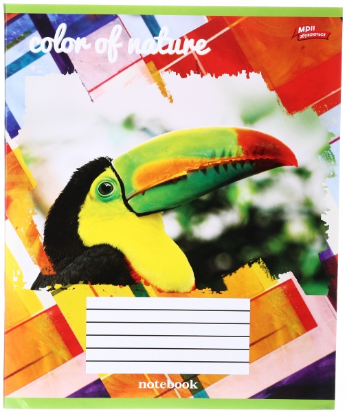 Зошит шкільний 48 аркушів у клітинку в асортименті Мрії збуваються