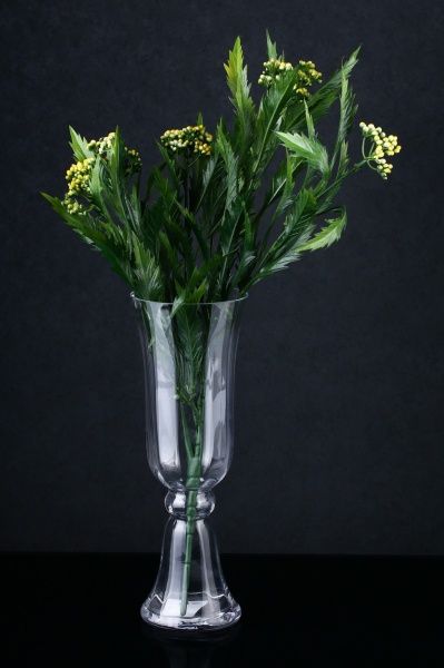 Ваза скляна 12,5х36 см Wrzesniak Glassworks