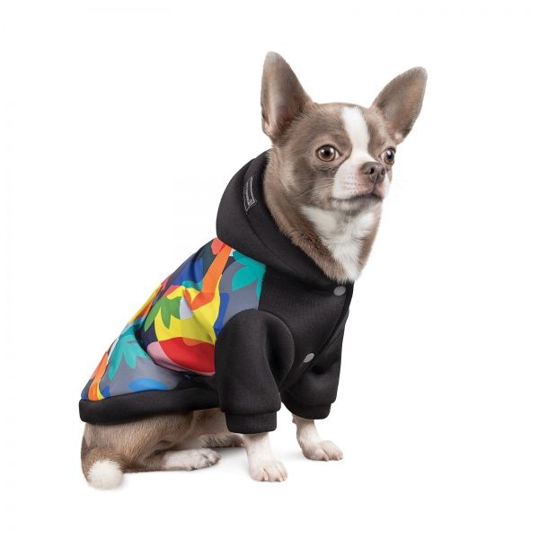 Толстовка с капюшоном Природа The Coolest M