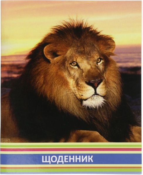 Щоденник шкільний 48 арк. CF29933-01 Cool For School