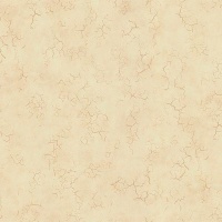 Эдем Статус 9083-21 1.06х10.05 м