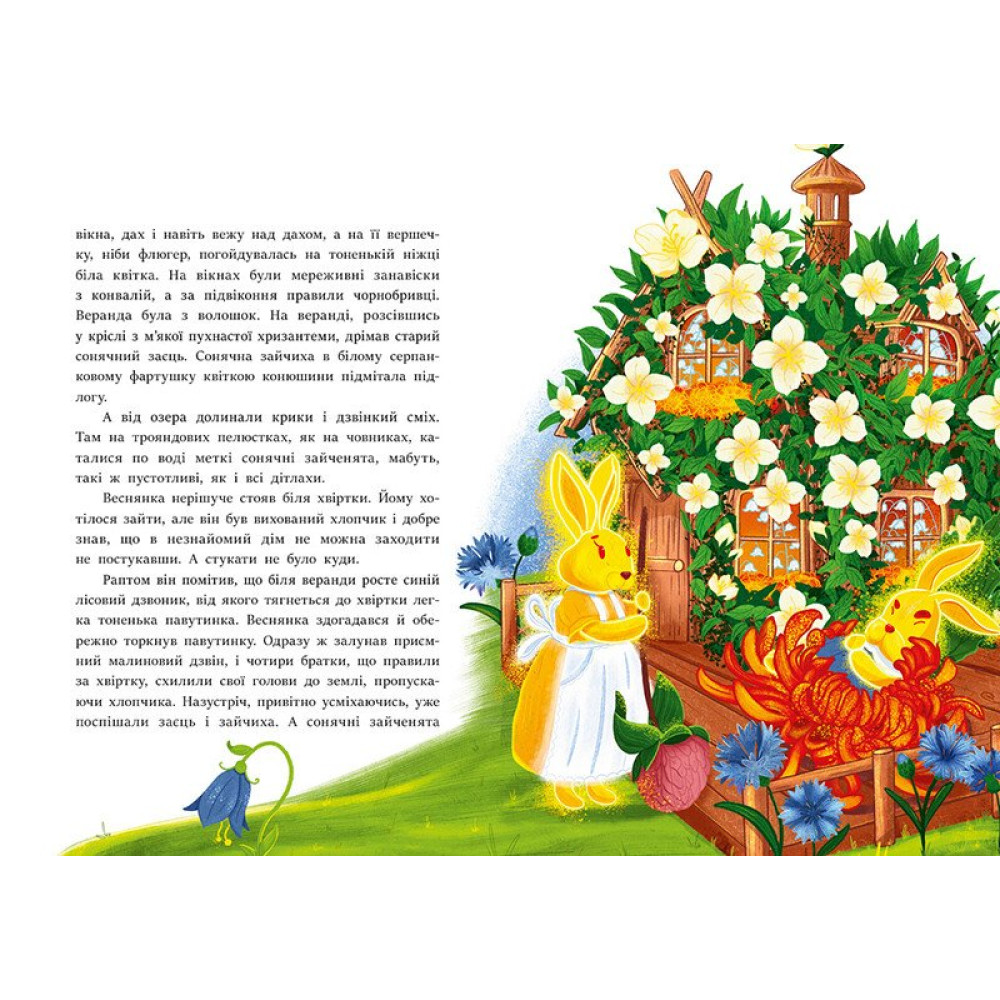 Книга Всеволод Нестайко «Книги Всеволода Нестайка: В Країні Сонячних Зайчиків» 978-617-09-8846-1