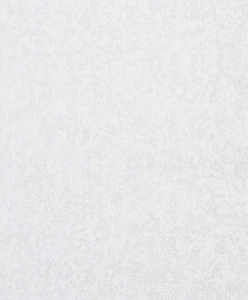 Шпалери вінілові на паперовій основі Bravo 400BR20 0,53x10,05 м 