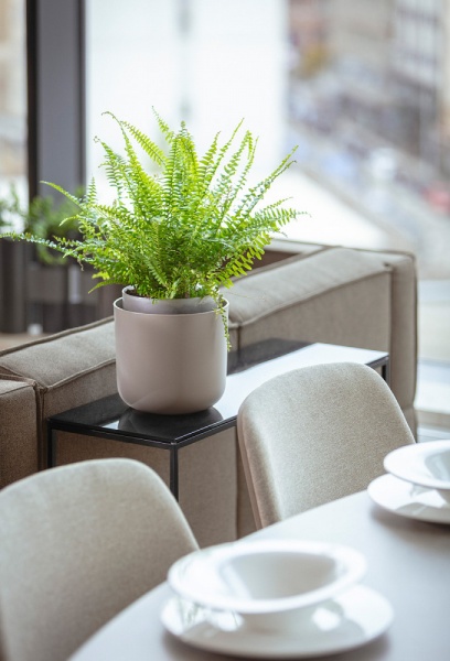 Вазон пластиковый Plastia с системой автополива Tolita 19 см круглый 2,2 л коричневый (1707081907) 