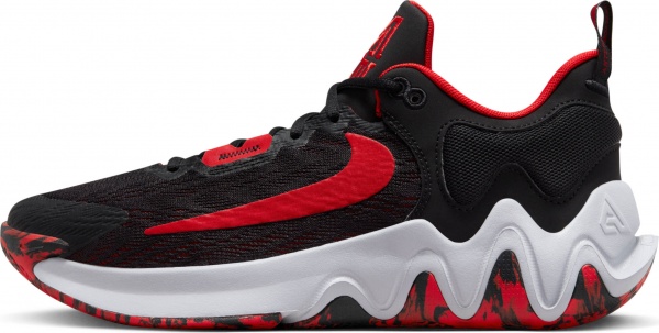 Кроссовки Nike GIANNIS IMMORTALITY 2 DM0825-005 р.42 разноцветный