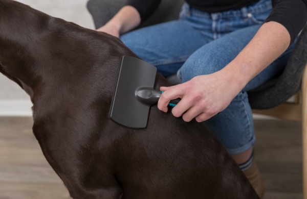 Пуходерка-щетка Trixie для собак мягкая пластиковая 10x17 см (24132)