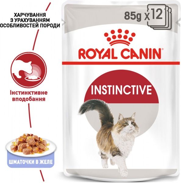 Корм Royal Canin Instinctive in gravy в желе 85 г