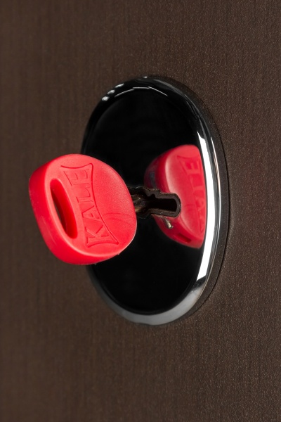 Дверь входная Булат Термо House-705 стеклопакет венге темный 2050x950 мм левая