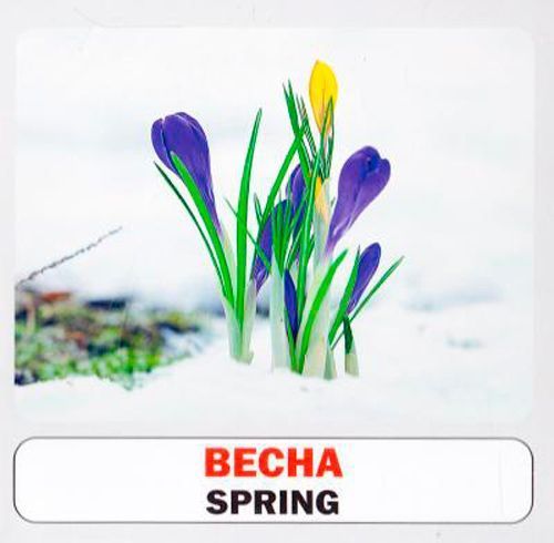 Книга «Навчальний посібник. Пори року. англ-укр»