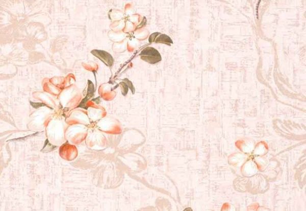 Обои бумажные Славянские обои COLORIT Адонис 8144-02 0,53x10,05 м