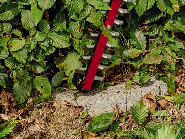 Кущоріз акумуляторний Einhell X-Change ARCURRA 3410920