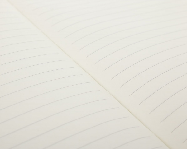 Книга для записей Ленивец-фотограф А5 96 листов