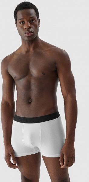 Трусы 4F BOXER SHORTS M027 (2PACK) 4FAW23UBXSM027-92S р.L разноцветный