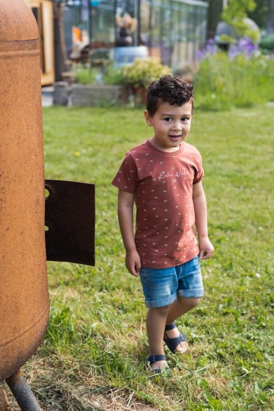 Футболка для мальчиков Koko Noko р.122 ржаво-коричневый T46805-37 