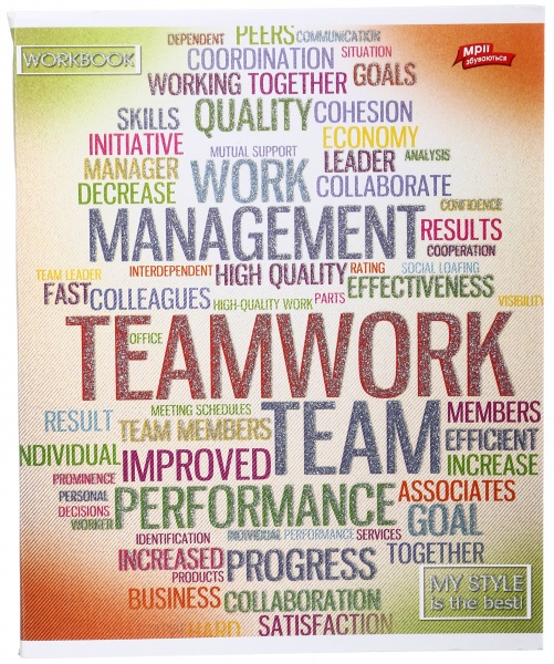 Зошит шкільний з глітером 96 аркушів у клітинку в асортименті Мрії збуваються