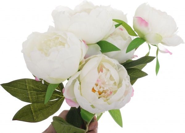 Букет півоній білий