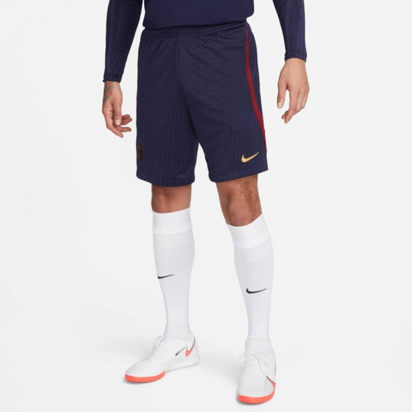 Шорты Nike PSG DF STRK SHORT KZ DX3193-498 р. M синий