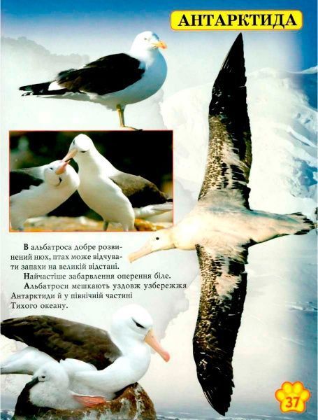 Книга «Світ навколо нас. Дикі тварини» 978-966-936-942-0