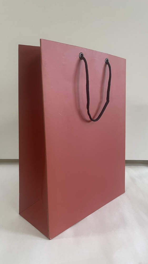 Пакет Пакет L, вертикальний, 24*32*10, картон, колір в асортименті