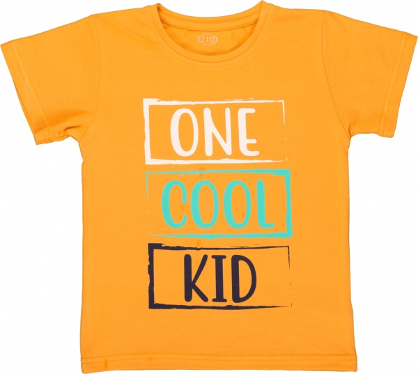 Футболка унісекс Фламінго 864-417 р.104 помаранчевий 