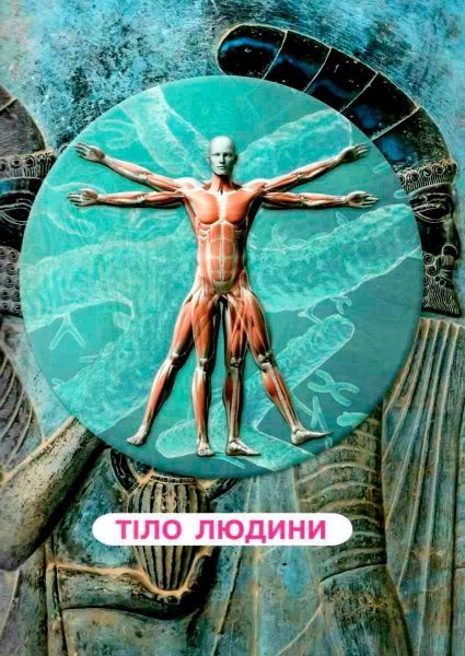 Книга Алина Котка «КнигУсе про тіло людини. 1000 цікавих фактів» 978-966-936-836-2
