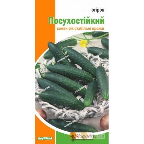 Насіння Яскрава огірок Посухостійкий 1г (4823069812683)
