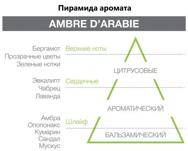 Аромадиффузор для дома Hypno Casa Ambra Darabia 250 мл 