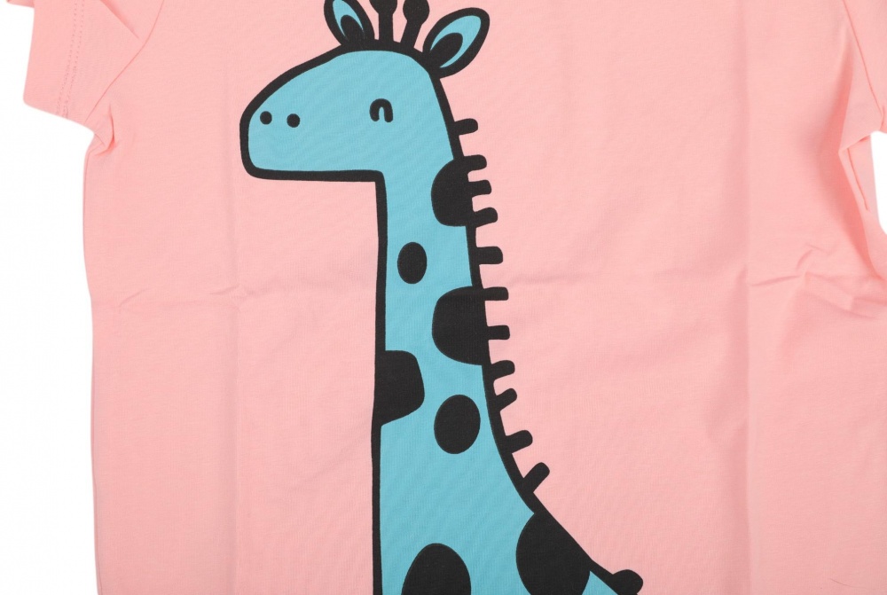 Футболка для девочек HW 2 шт. р.104/110 разноцветный 53128_53126