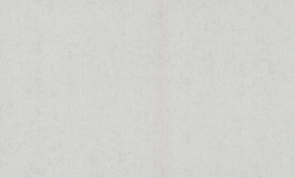 Шпалери вінілові на флізеліновій основі Bravo SIMPLE 516SP11 1,06x10,05 м