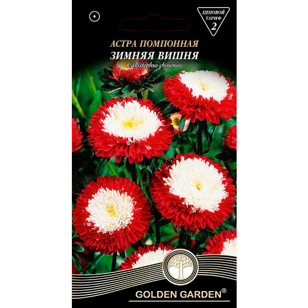 Семена Golden Garden астра помпонная Зимняя вишня 0,25 г