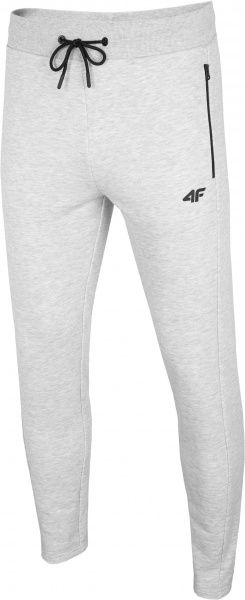 Брюки 4F H4L20-SPMD010-27M р. L светло-серый