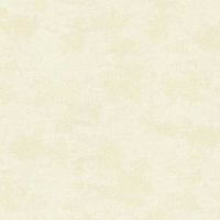 Обои VINIL Виконт ТФШ6-0467 